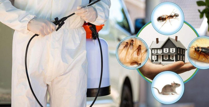 Gemerek Böcek İlaçlama