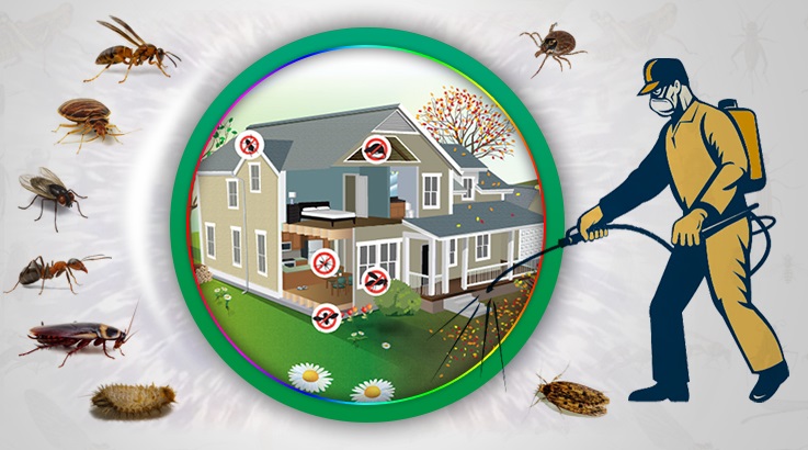 Gemerek Böcek İlaçlama