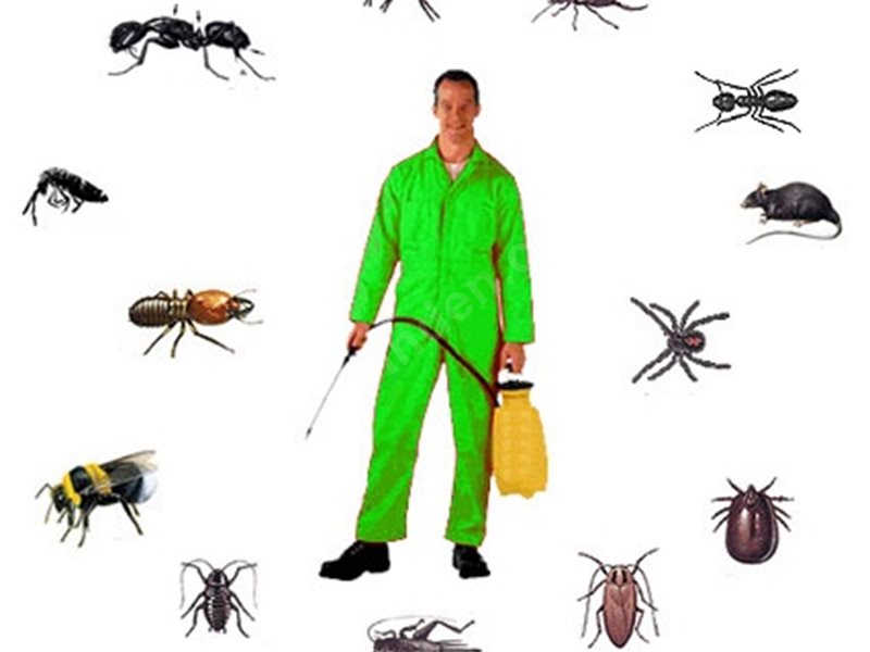 Gemerek Böcek İlaçlama